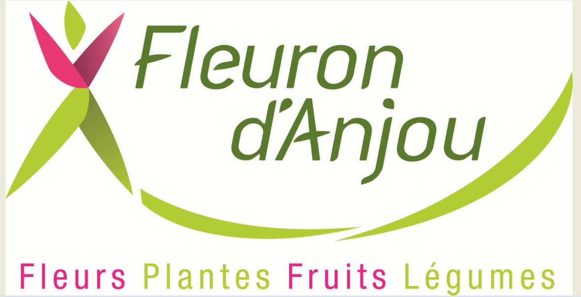 Fleuron d anjou